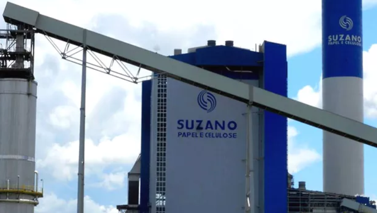 A Suzano é referência na produção de papel e celulose