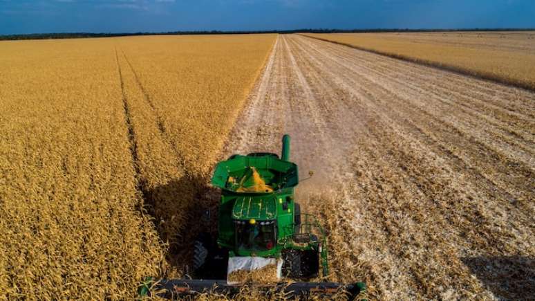 Agricultores brasileiros devem colher uma área de 78,3 milhões de hectares na safra de 2024