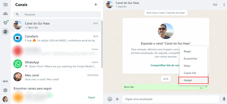 Como apagar mensagens em seus canais no WhatsApp Web (Imagem: Captura de tela/Guilherme Haas/Canaltech)