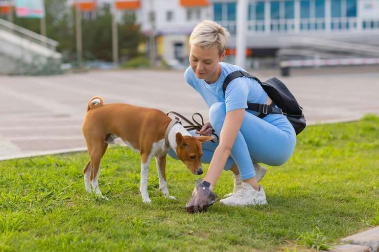 Recolher as fezes do cachorro durante o passeio evita a disseminação de doenças 