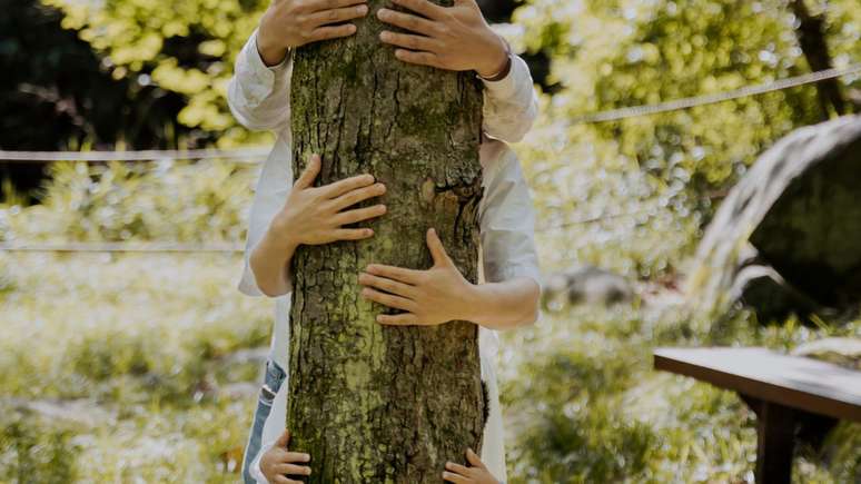 Abraçar árvores vai além do amor à natureza: entenda os benefícios