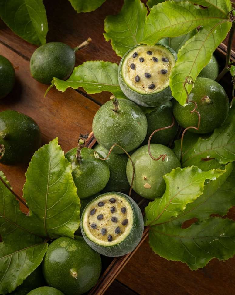 Maracujá do mato e cogumelos, pré-sobremesa do Manga, em Salvador