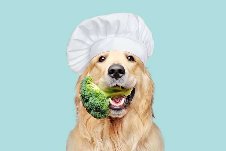 Incluir vegetais na dieta dos cachorros é uma excelente maneira de fornecer petiscos saudáveis