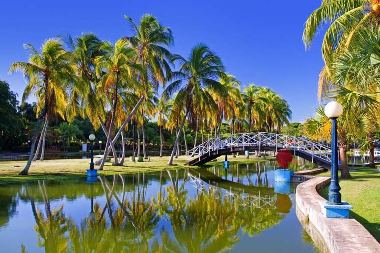 Parque Josone é repleto de atrações naturais e uma parada obrigatória na cidade 