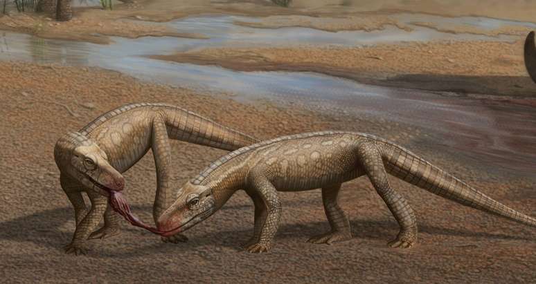 O 'Parvosuchus aurelioi' foi achado por paleontólogo amador em Santa Maria (RS)