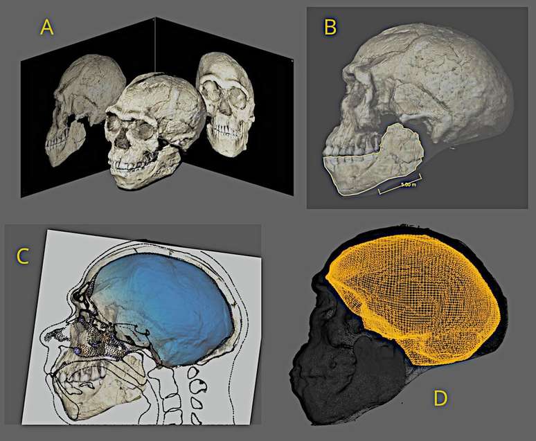 A reconstrução da aparência do Homo sapiens mais antigo do mundo foi feita com modelos computacionais de seu crânio (Imagem: Moraes/OrtogOnlineMag/CC-BY-4.0)