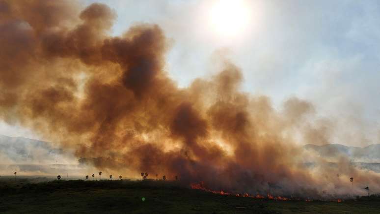 Incêndios no Pantanal bateram recorde neste mês