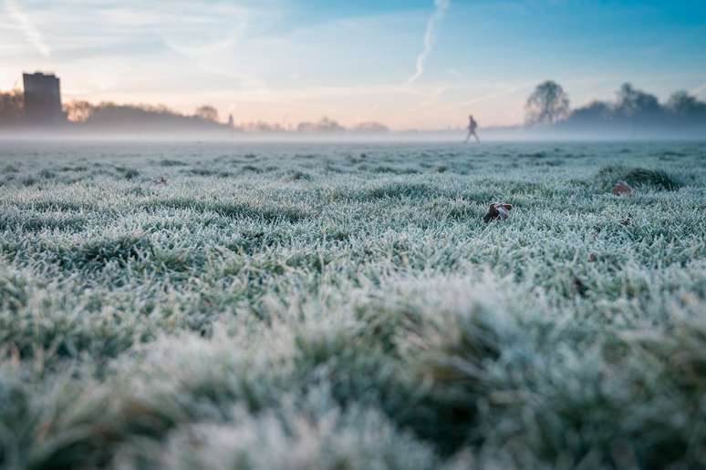 Inverno não deve ser tão rigoroso no Brasil, mas dias frios, geadas e neve podem ocorrer este ano (Imagem: Wirestockc/Freepik)