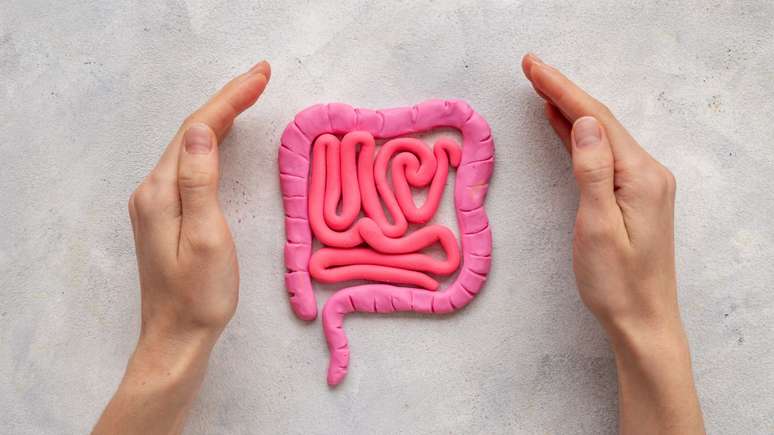 Colorectal cancer: discover the causes, symptoms and how to treat it