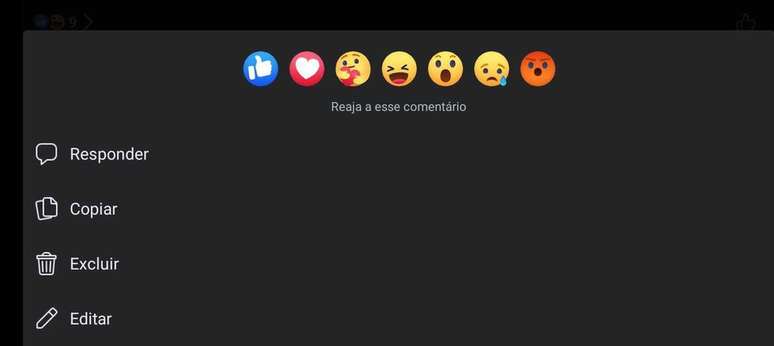 O Facebook permite que qualquer pessoa edite seu próprio comentário, opção ausente no Instagram (Imagem: Captura de tela/Fabrício Calixto/Canaltech)