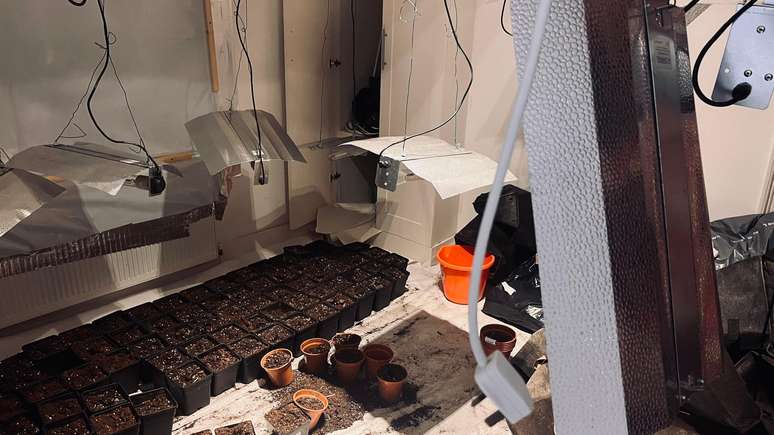 Um emaranhado de fios emerge do quarto para alimentar a operação ilegal