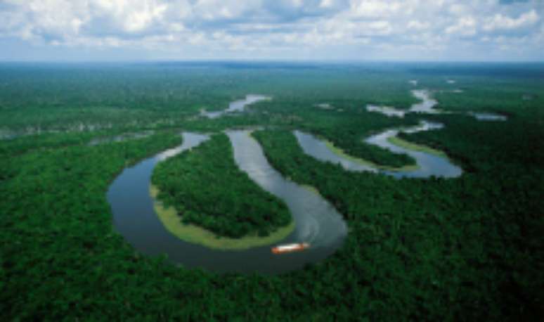 Pantanal, bioma brasileiro