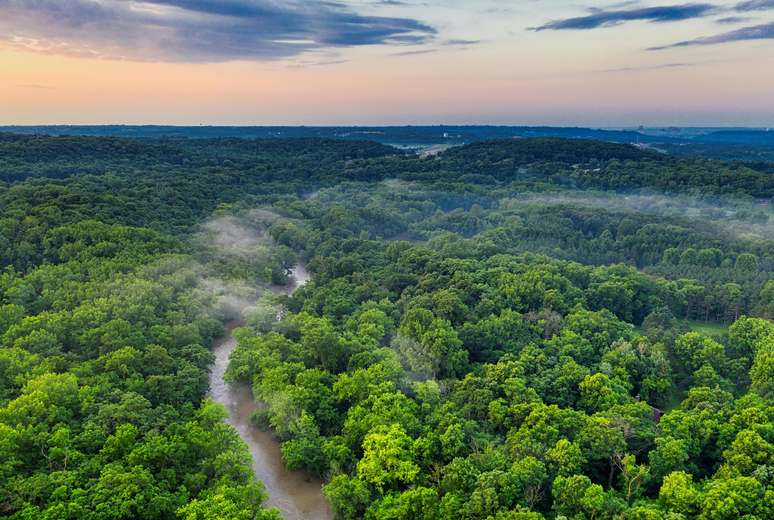 Amazônia, bioma brasileiro