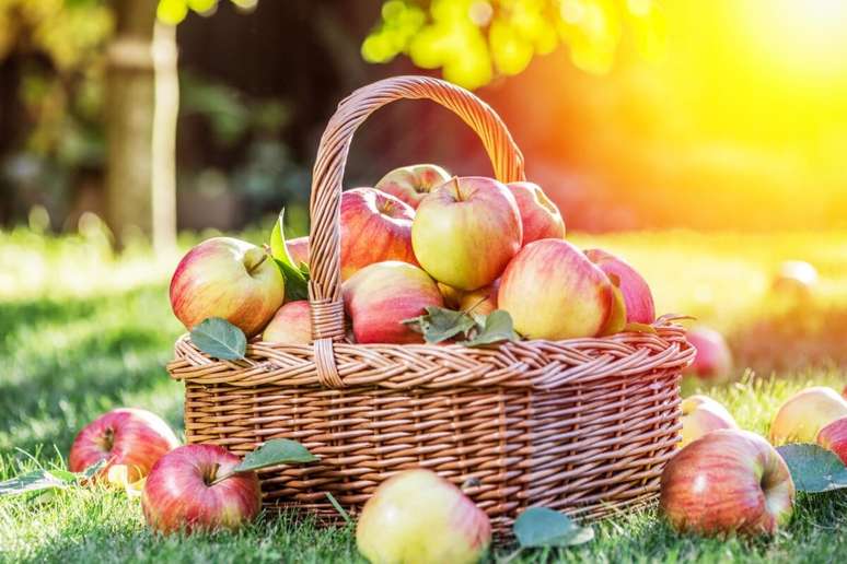 A maçã oferece diversos benefícios para a saúde