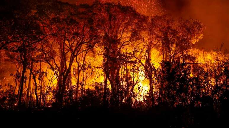 Os incêndios no Pantanal atingiram um nível sem precedentes em 2024 e com danos já superiores a 2020; o desastre ameaça a biodiversidade