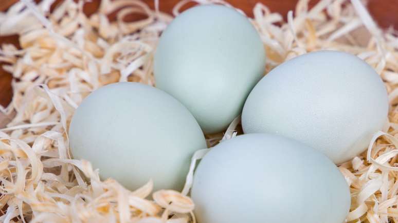 Aprenda a fazer simpatias com ovo para melhorar sua vida amorosa