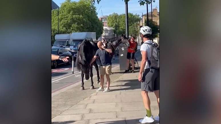 Dois cavalos seguiram até a Vauxhall Bridge antes de serem detidos
