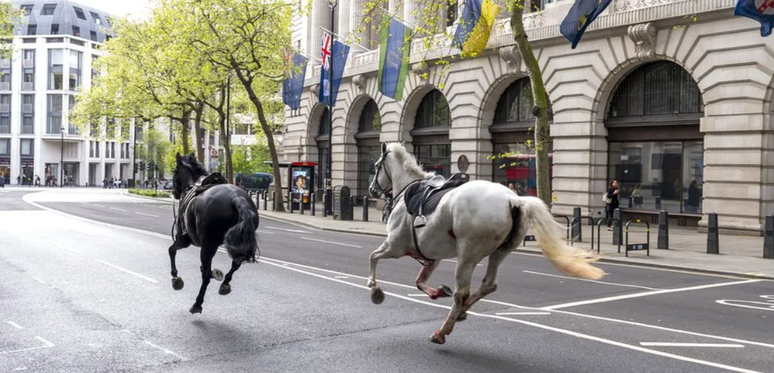 Cavalos da Cavalaria Doméstica foram vistos galopando pelo centro de Londres em abril