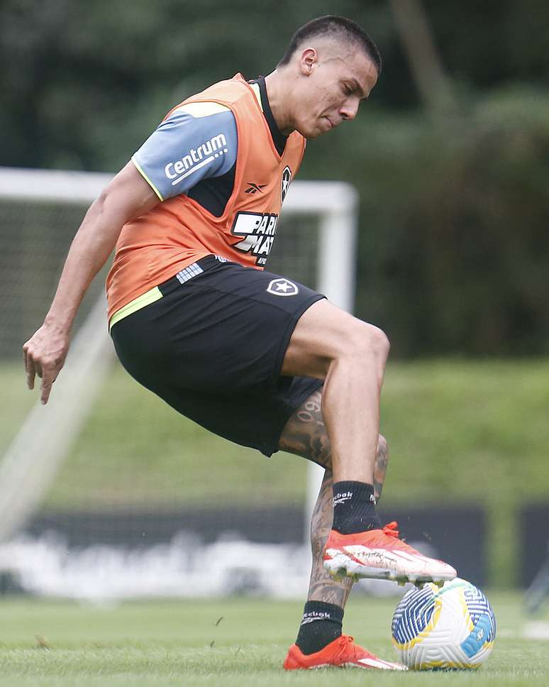 Carlos Alberto durante o último treino do Botafogo –