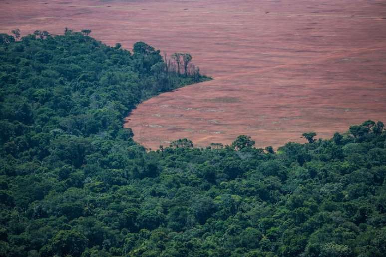 Área de desmatamento na Amazônia. Bioma observou queda nos indicadores nos últimos 11 meses
