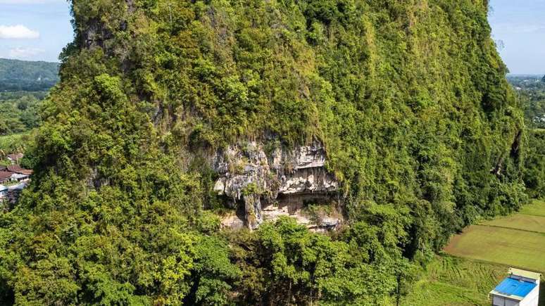 As pinturas foram encontradas nas cavernas da colina Karampuang, na ilha de Sulawesi, na Indonésia