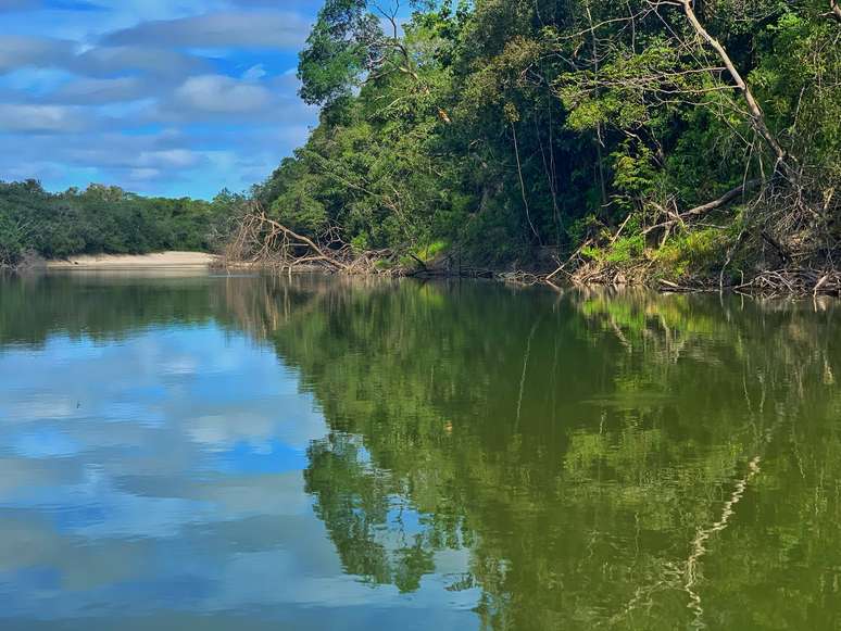 Espelho do rio Maici, no sul do Amazonas, onde o povo Pirahã vive