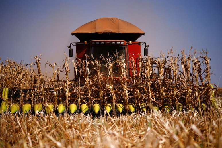 Colheita de milho em uma fazenda perto de Brasília, Brasil
22/08/2023
REUTERS/Adriano Machado