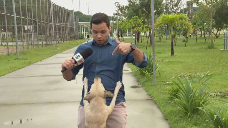 Cachorrinho 'invade' reportagem ao vivo no Recife.