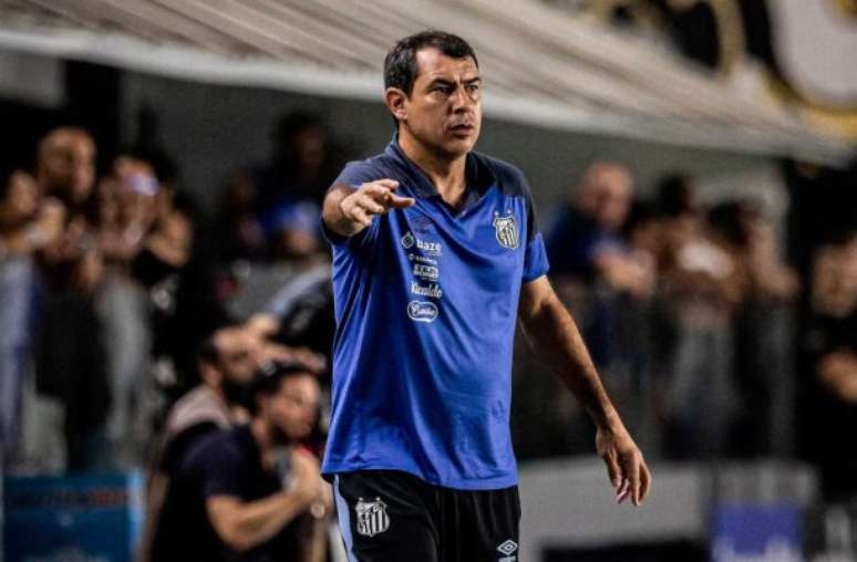 Fábio Carille quer melhorar a qualidade do elenco santista na Série B –