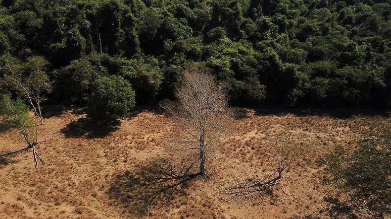 Período de estiagem na Amazônia se estendeu, ao mesmo tempo em que a estação seca se adiantou