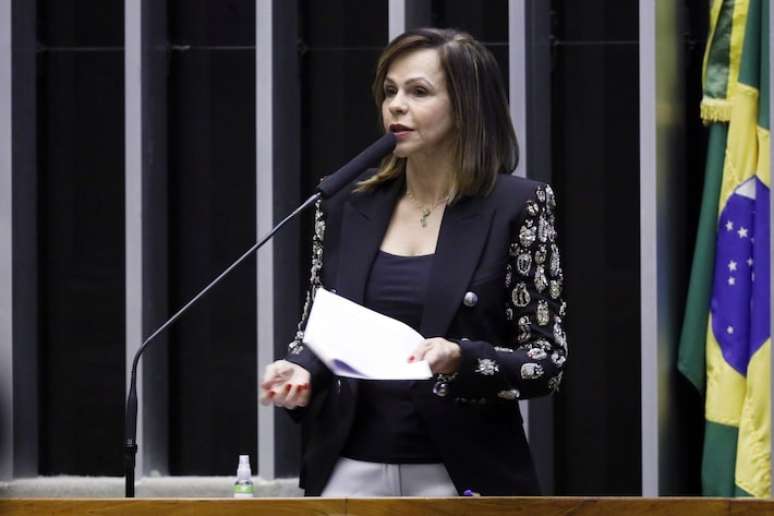 Dorinha Seabra, senadora