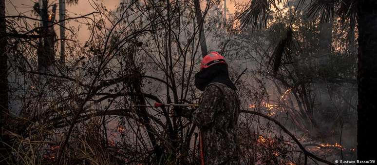 Primeiros seis meses de 2024 registraram a maior quantidade de focos de incêndio para o período no Pantanal