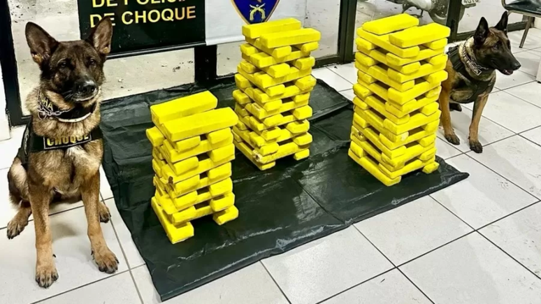 Pol&iacute;cia desmonta esquema de "maconha gourmet" em SP 