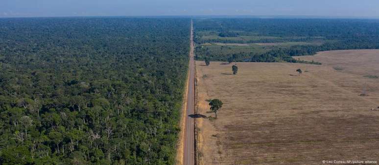 Segundo a Mapbiomas, a ocupação territorial do cultivo de soja no Brasil saltou de 4,4 milhões de hectares em 1985 para mais de 39 milhões em 2022 