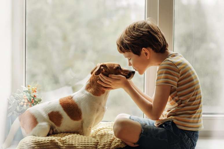 psicologiasdobrasil.com.br - Tratar seu pet como filho afeta o comportamento dele? Veja a visão da psicologia