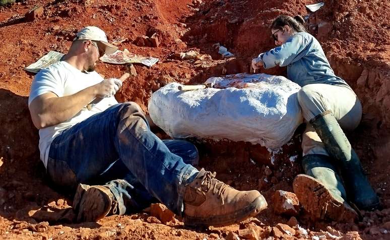 Regen hinterlässt einige Fossilien in Rio Grande do Sul