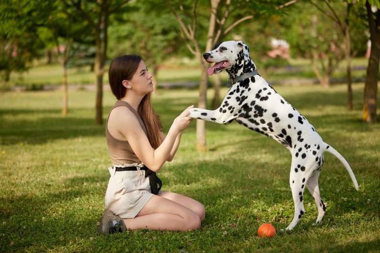 Fazer atividades com os pets nas férias cria memórias especiais e aumenta o vínculo com eles