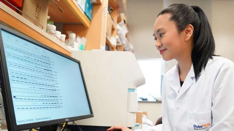 A pesquisa foi conduzida no Laboratório de Ciências Médicas MRC, Imperial College London e Duke-NUS Medical School em Cingapura.