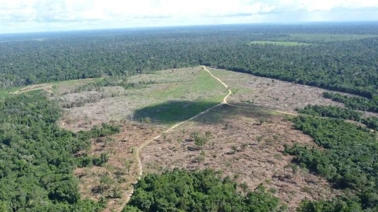 AGU bloqueia R$ 292 milhões em bens de pecuarista por desmatar e queimar a Floresta Amazônica