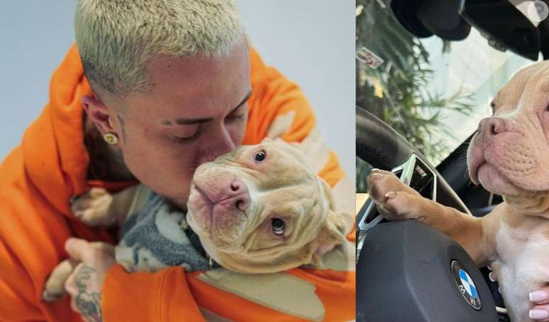 How Sad! MC Daniel’s Dog Drowns In Pool, Singer Says: ‘Unexplainable Pain’