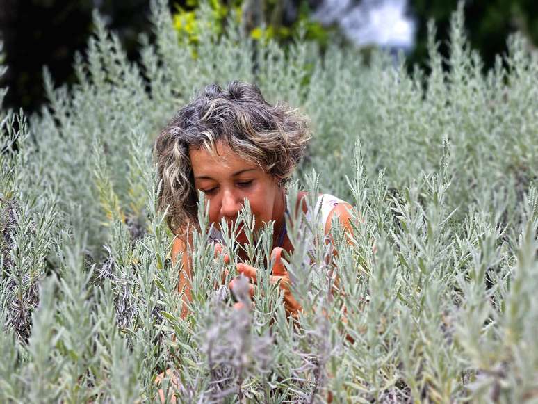 chá para insônia para menopausa