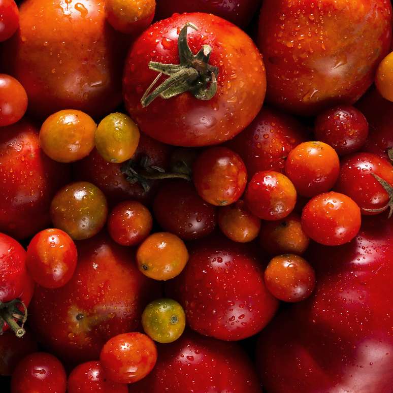 Veja quais são os tipos de tomates e seus benefícios