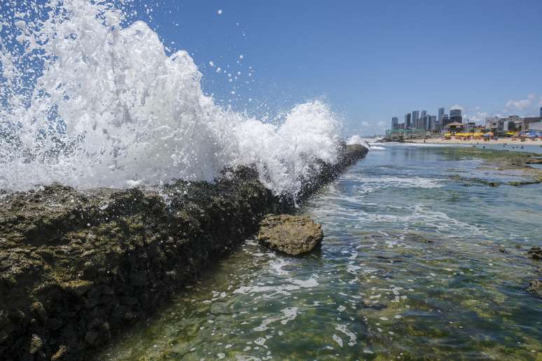 Prefeitura do Recife abriu licitação em março deste ano