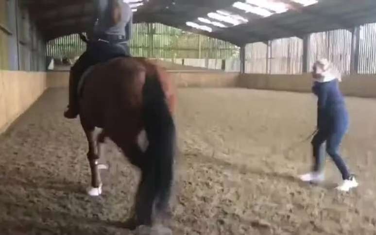 Multi-medal winner whips horse multiple times