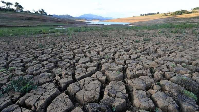 Seca tem forte impacto em áreas de atividades agrícolas ou pastagens.