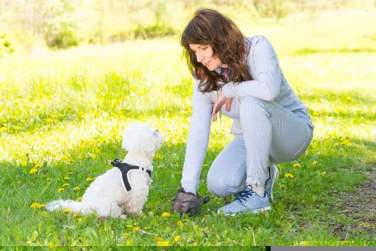 Evitar o contato com as fezes e urina de pets é fundamental para evitar doenças causadas por parasitas