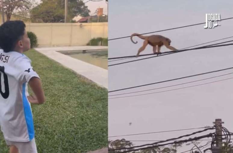 Criança com a camisa da Argentina imita um macaco enquanto chama o animal de Vini Jr –