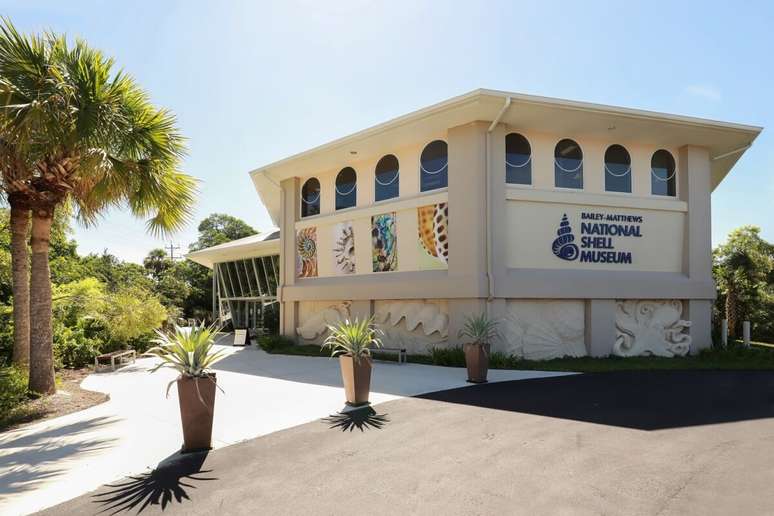 Sanibel tem o único museu dedicado a conchas e moluscos, o Bailey-Matthews National Shell Museum 