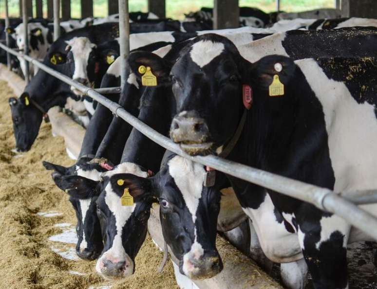 Uso de IA no campo é uma das oportunidades do Brasil na área