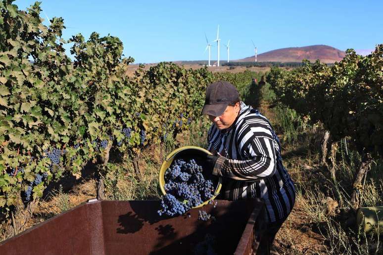 A região é fértil, onde Israel cultiva vinhedos e cria gado